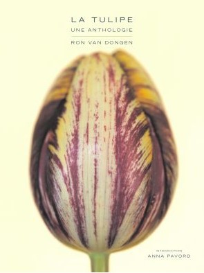 La tulipe. Une anthologie