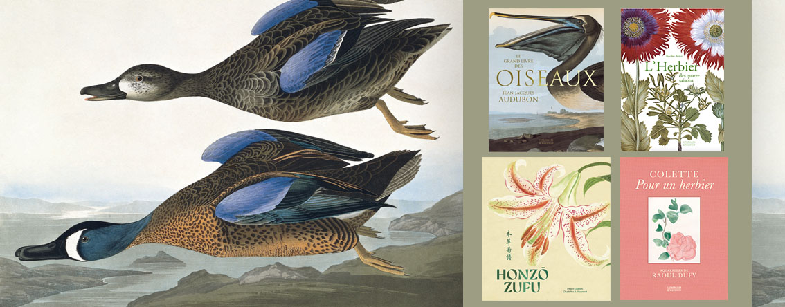 Collection Art et Nature