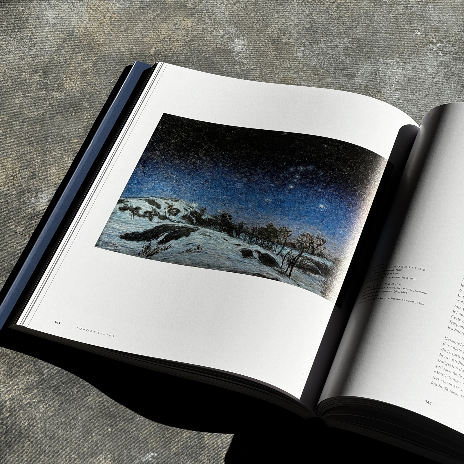 La peinture nordique