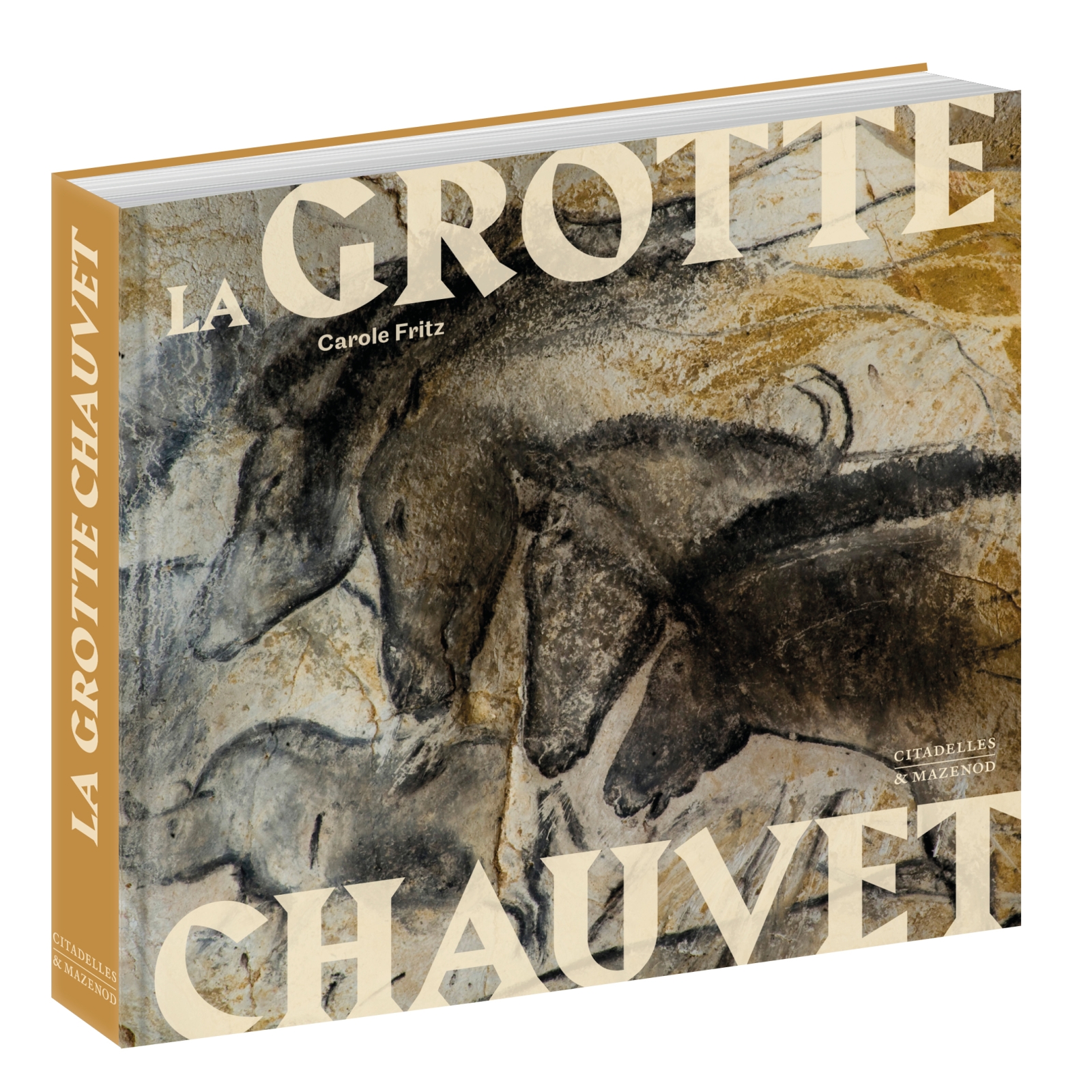 La grotte Chauvet