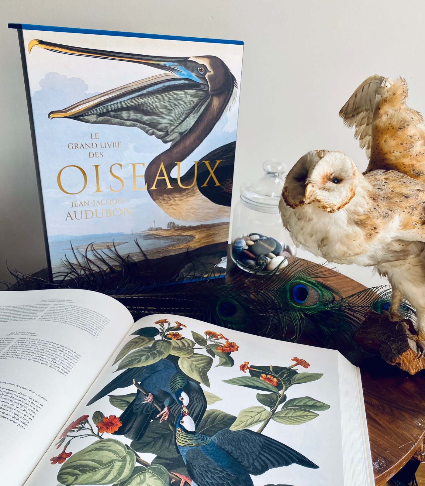 Le grand livre des Oiseaux d'Audubon
