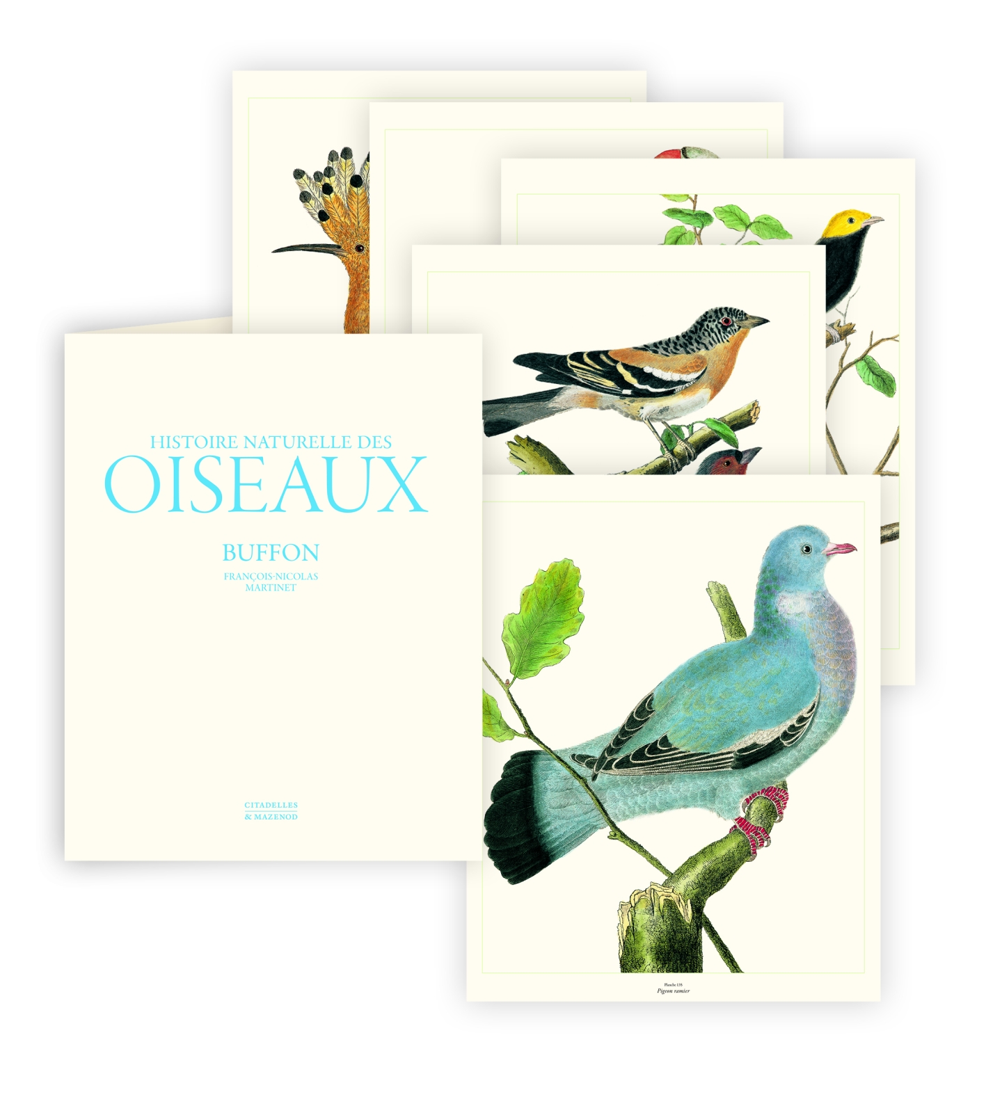 Histoire naturelle des Oiseaux de Buffon