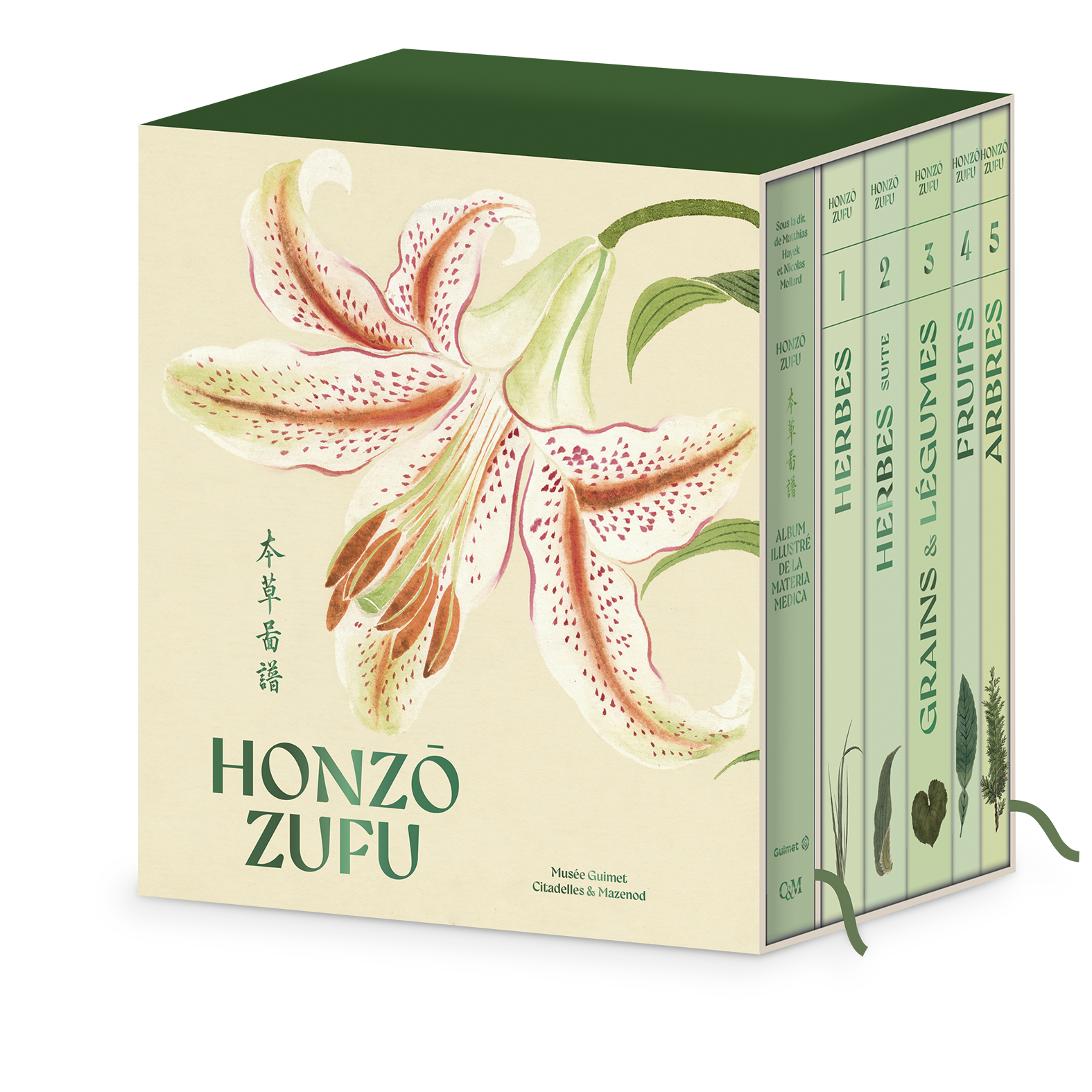 Honzo zufu