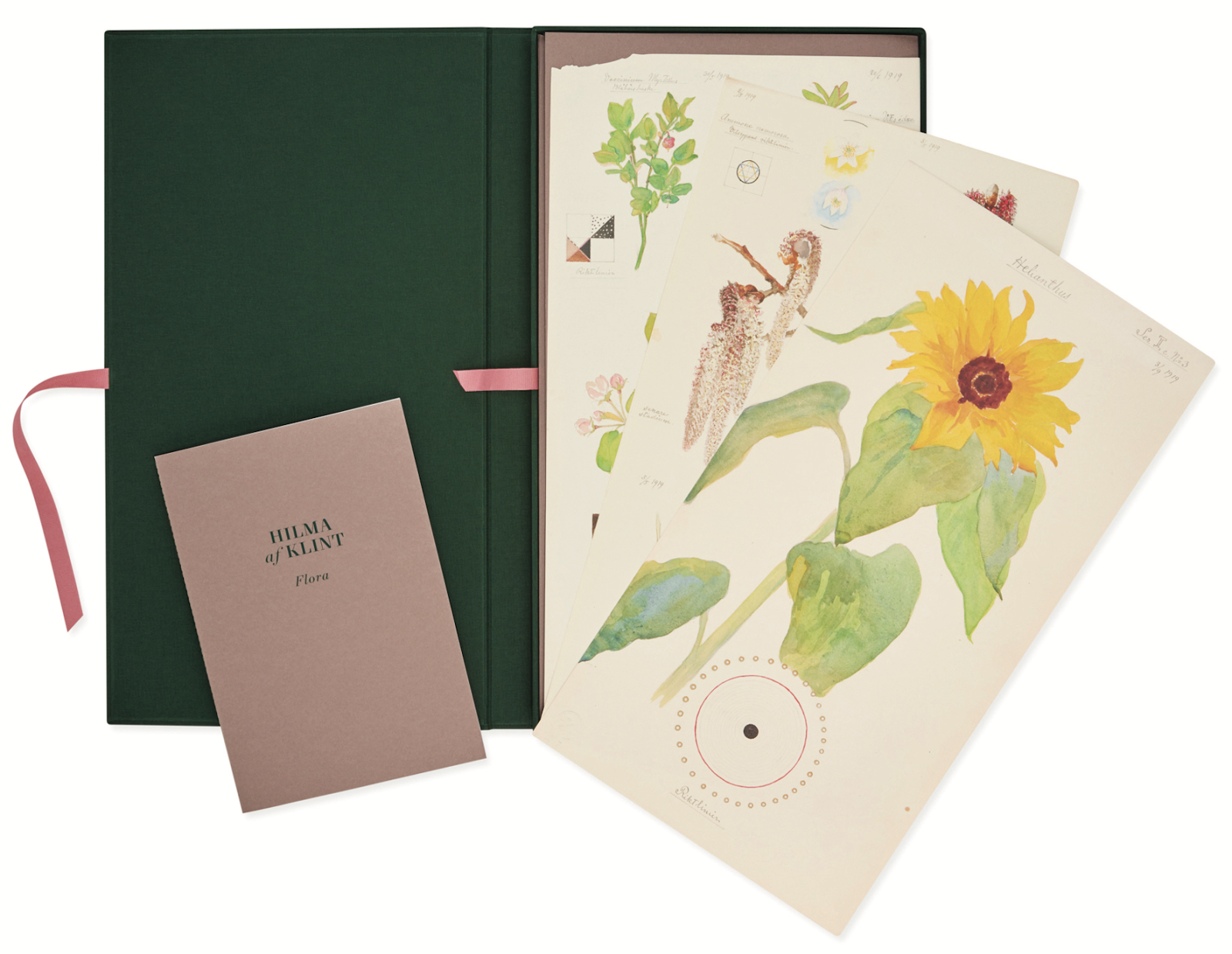 Flora