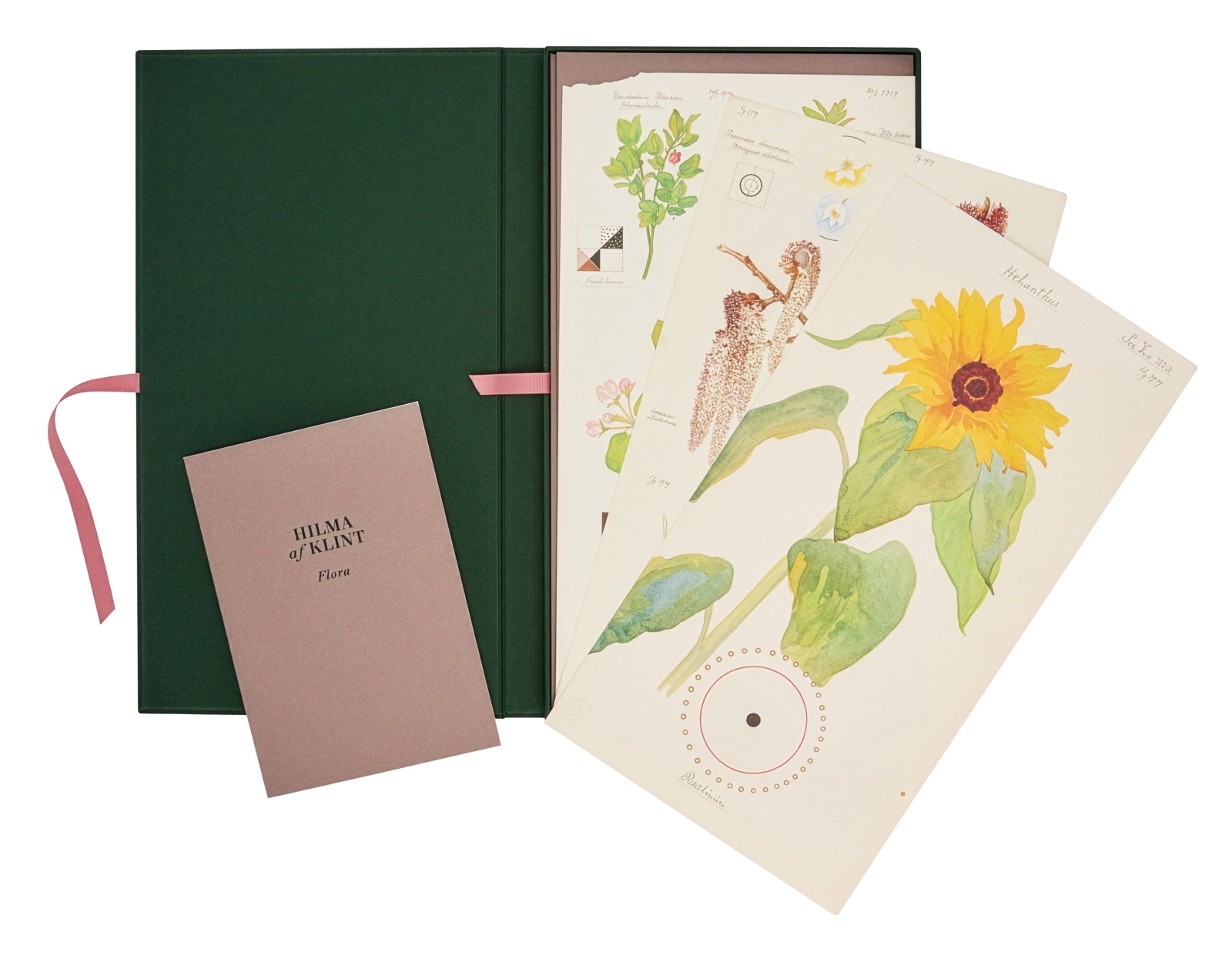 Flora